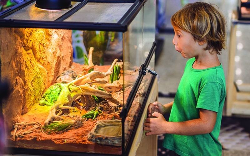 animal encounters event reptile zoo Dorman after dark