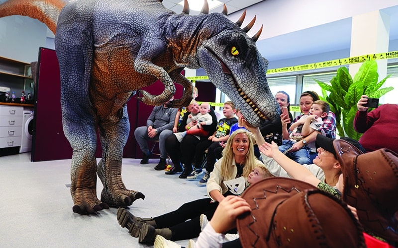 dino day at dorman museum Dorman after dark